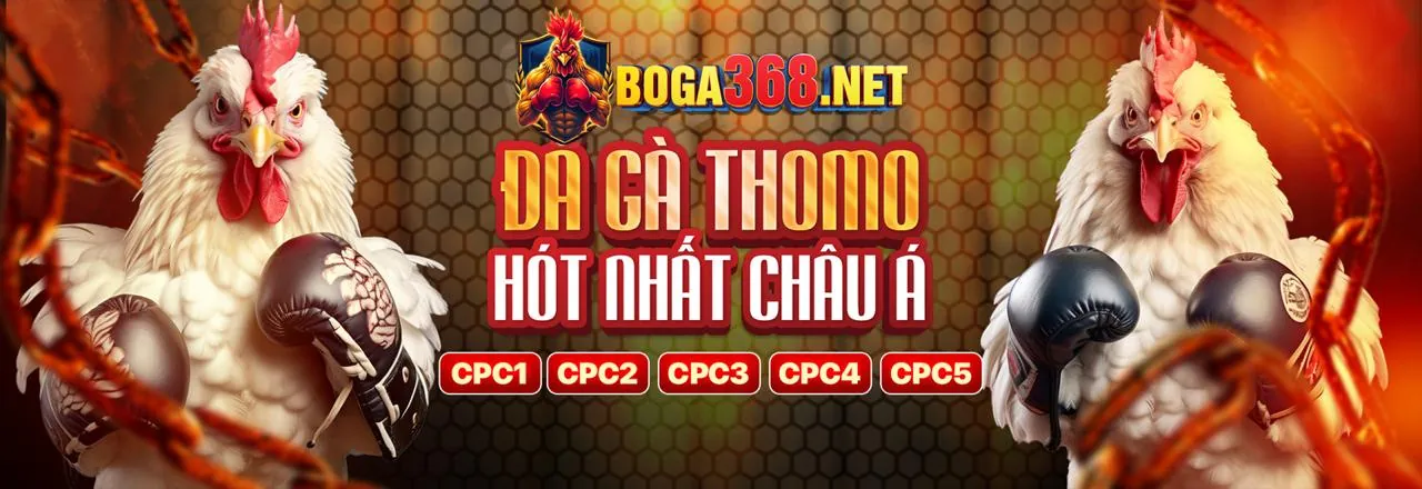 Cộng đồng người chơi MV66A sôi động