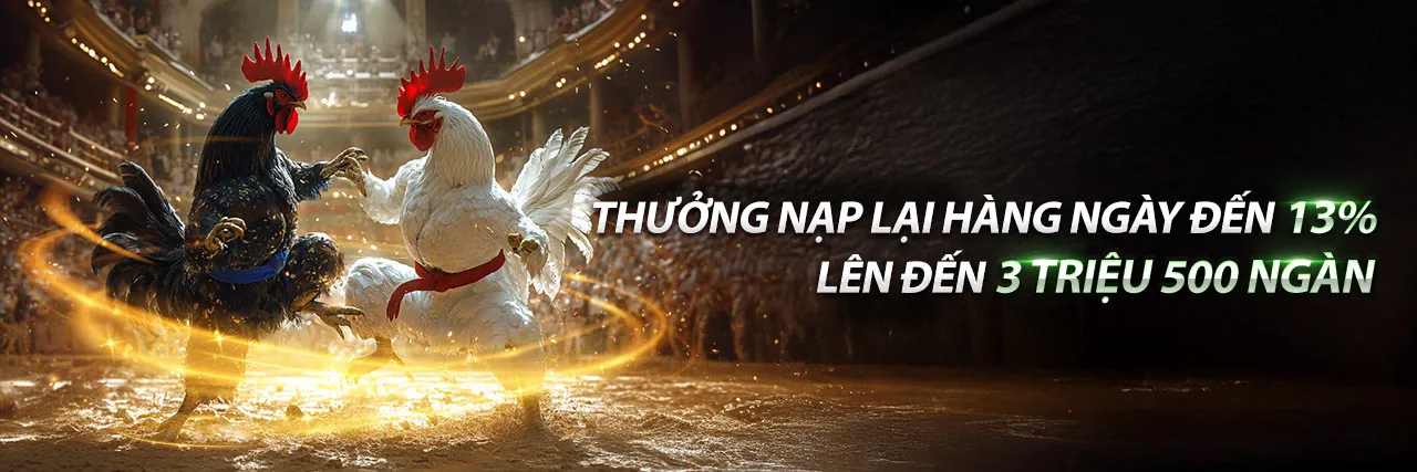 Hình ảnh Đá Gà Trực Tuyến tải mv66a 2026